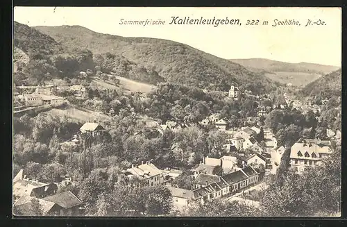 AK Kaltenleutgeben, Blick auf Ortspartie