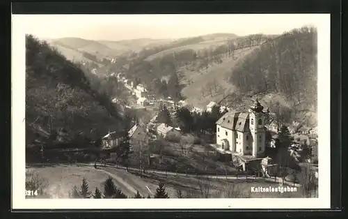 AK Kaltenleutgeben, Pfarrkirche mit Landschaft