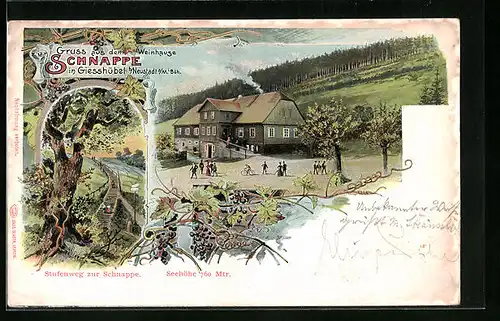 Lithographie Giesshübel b. Neustadt a. M., Gasthof Weinhause Schnappe mit Stufenweg