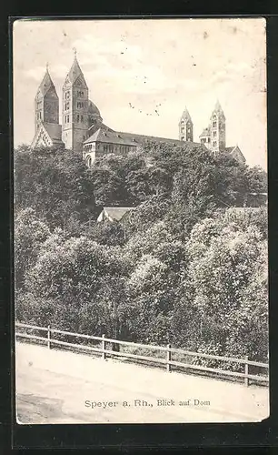 AK Speyer a. Rh., Blick auf den Dom