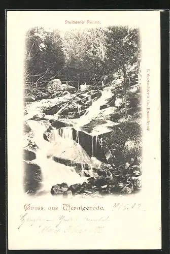 AK Wernigerode, Lauf der steinernen Renne im Wald