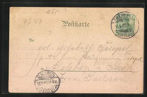 Lithographie Wildbad, Kurplatz, Katholische Kirche, Anlagen Partie mit Floss