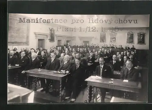 Foto-AK Pilsen /Plzen, Manifestace pro lidový chovu 1935