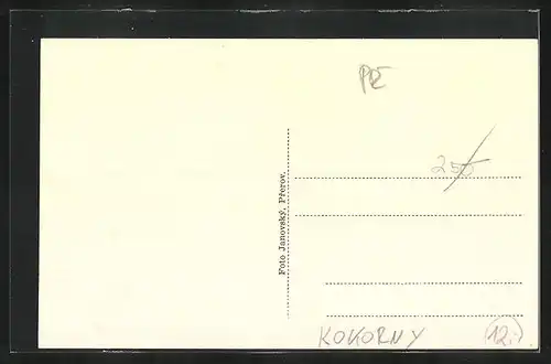 AK Kokorny, Hospodynská skola ss. Dominikánek