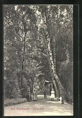 AK Bad Oeynhausen, Birken-Allee im Sommer