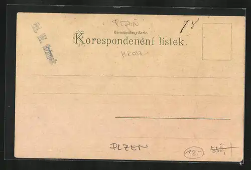 Lithographie Plzen, Frau in Tracht, Paar in Tracht