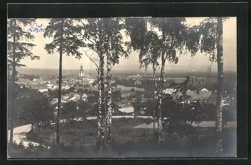 AK Lostice, Erhöhte Ortsansicht mit Strasse