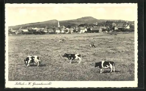 AK Lübbecke i. W., Gesamtansicht des Ortes mit Kühen