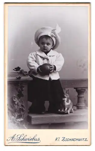 Fotografie A. Schwiebus, Kl. Zschachwitz, Portrait niedliches Mädchen im schicken Kleid mit Spielzeug Hund auf Rollen