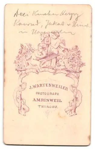 Fotografie J. Wartenweiler, Amrisweil / Thurgau, Knabe im Anzug mit Bruder & kleiner Schwester