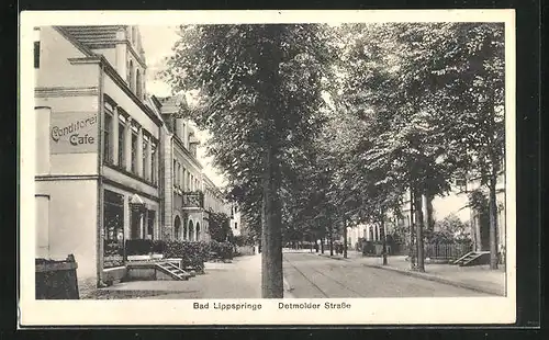 AK Bad Lippspringe, Detmolder Strasse