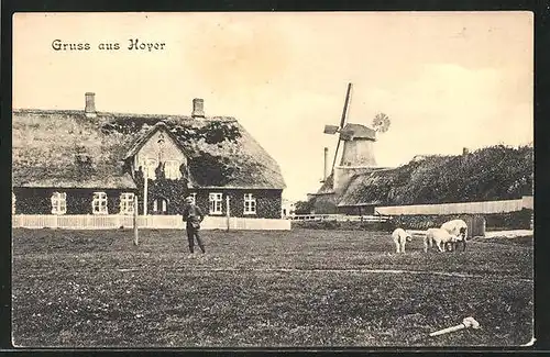 AK Hoyer / Esens, Bauernhaus und Windmühle
