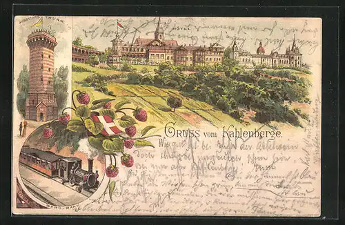 Vorläufer-Lithographie Kahlenberg, 1894, Hotel Kahlenberg, Aussichtsturm, Eisenbahn, Weimarer Republik