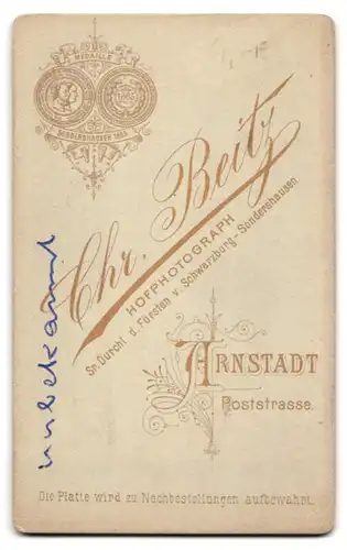 Fotografie Chr. Breitz, Arnstadt, Poststrasse, Portrait junger Herr im Anzug mit Vollbart