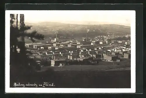 AK Zlin, Batovy zavody