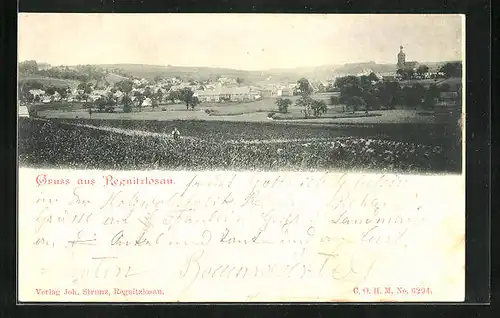 AK Regnitzlosau, Ortsansicht vom Feld aus