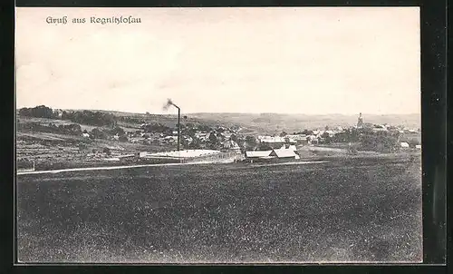 AK Regnitzlosau, Ortsansicht aus der Ferne