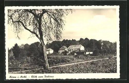 AK Mirow i. Meckl., Blick aufs Rathaus