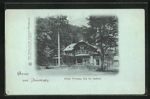 Mondschein-AK Ilsenburg, Hotel Prinzess Ilse im Ilsethal