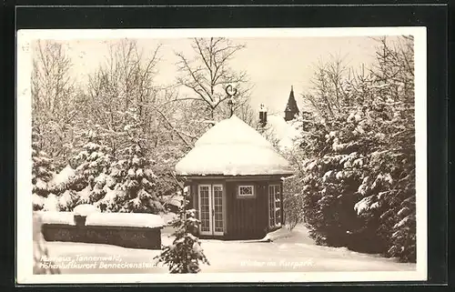 AK Benneckenstein /Harz, Kurhaus Tannenwald, Winter im Kurpark