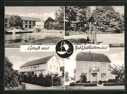 AK Bad Waldliesborn /Westf., Hotel-Pension Ortkemper, Haus Giesela