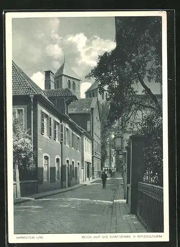 AK Münster i. W., Blick auf die Domtürme vom Spiegelturm