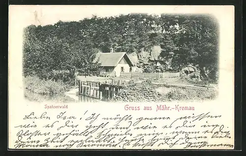 AK Mähr.-Kromau, Hütte im Spatzenwald