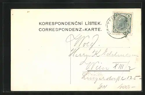 Künstler-AK Bitova, Zámek, Cornstýn
