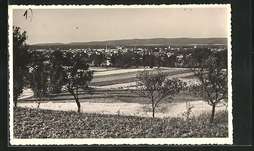 Foto-AK Tyniste n. Orl., Panorama