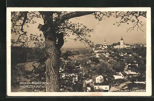 AK Nove Mesto n. M, Panorama