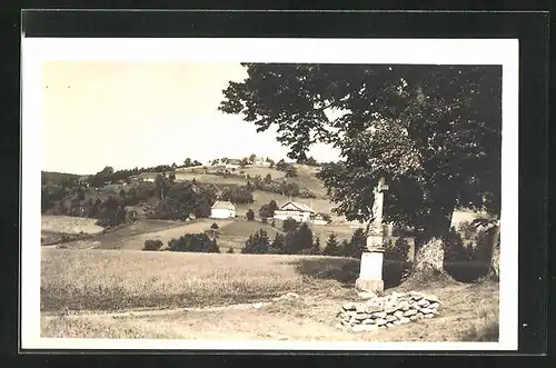 AK Destné /Orlické hory, Dris s horskou chatou Panoramou