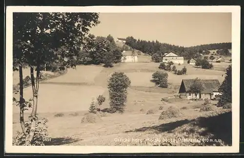 AK Destné /Orlické hory, Horska bouda Panorama