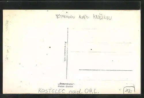 AK Adler Kosteletz / Kostelec nad Orlici, Hotel Panský Dum