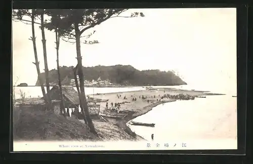 AK Yenoshima, Panorama des Ortes samt Strand