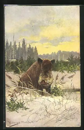 Künstler-AK M. Müller jun.: Wildschwein am winterlichen Gewässer