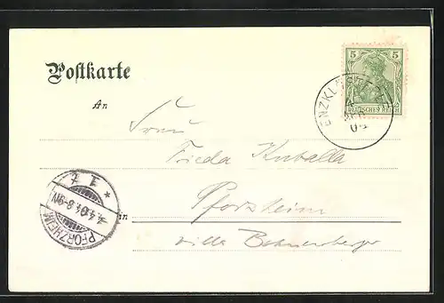 Lithographie Enzklösterle bei Wildbad, Gasthaus zum Hirsch, Waldpartie mit Hirsch u. Rehen, Teilansicht