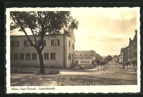 AK Rehau /Bayr. Ostmark, Luitpoldstrasse mit Bäumen