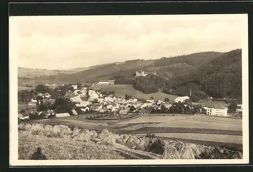 AK Velhartice na Sumave, Ortsansicht mit Burg