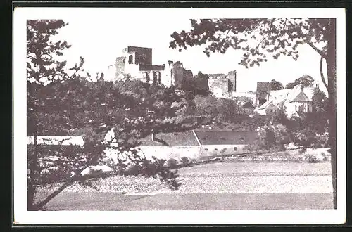 AK Rabi na Sumave, Ortsansicht mit Burg