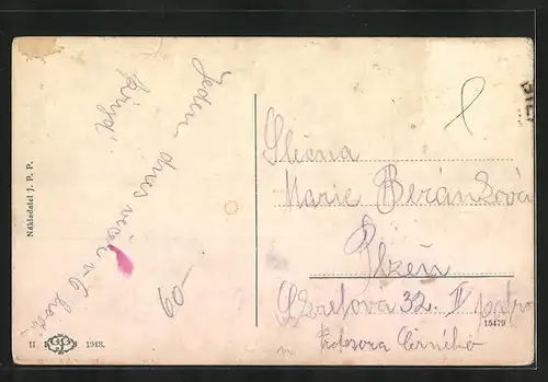 AK Plzen, Celkovy pohled