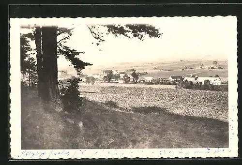 AK Mirenice na Sumave, Ortsansicht aus der Ferne