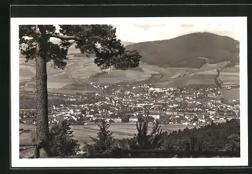 AK Susice na Sumave, Celkovy pohled