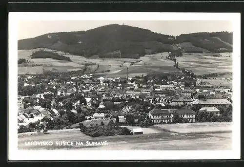 AK Susice na Sumave, Celkovy pohled