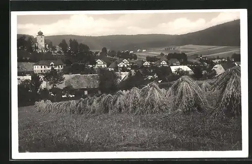 AK Kdyne na Sumave, Ortsansicht vom Feld aus