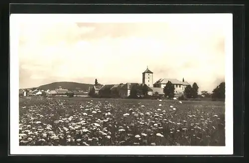 AK Svihov, Blick von der Wiese zum Ort