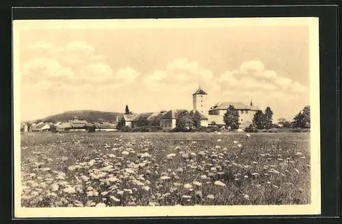 AK Svihov, Blick von der Wiese zur Ortschaft