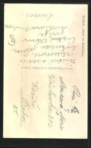 AK Susice, chata na Svatoboru