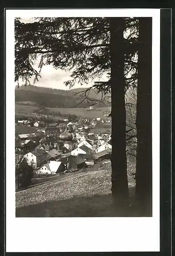 AK Zelezna Ruda na Sumave, Ortsansicht von einer Anhöhe aus