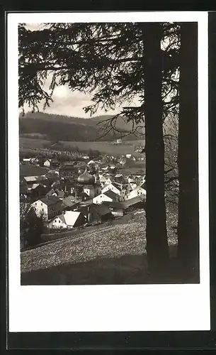 AK Zelezna Ruda na Sumave, Ortsansicht aus der Vogelschau