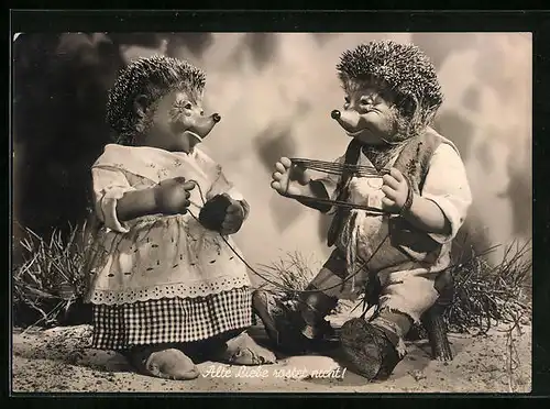 AK Alte Liebe rostet nicht! Mecki-Paar rollt Wolle auf